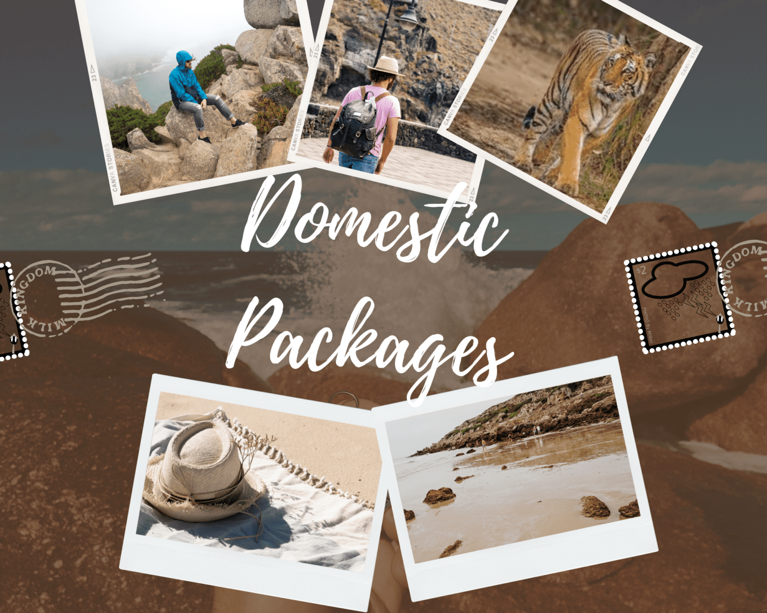 Domestic Packages